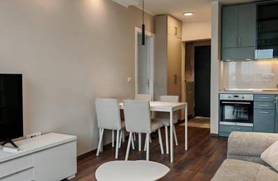 Vermietung einer möblierten 2-Zimmer-Wohnung im Stadtzentrum, 45 m², Belgrad, Serbien